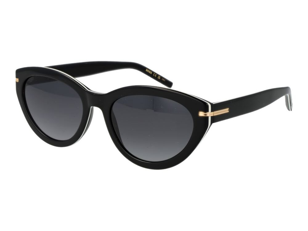 Hugo Boss Black Acetate Sunglasses